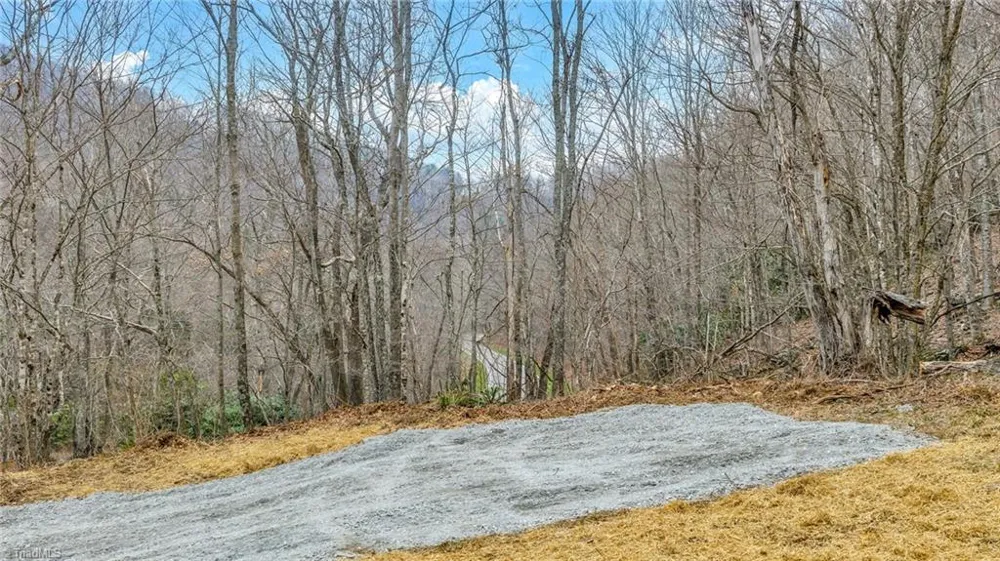 TBD-2 Three Top Road Todd, NC 28684