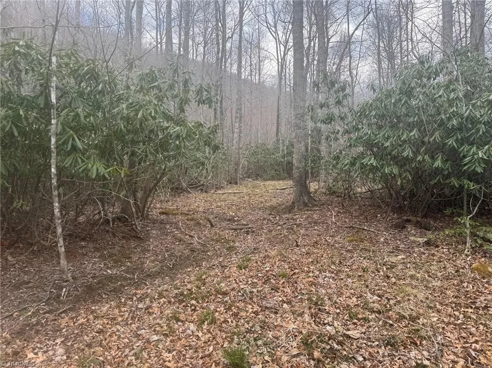 TBD-2 Three Top Road Todd, NC 28684