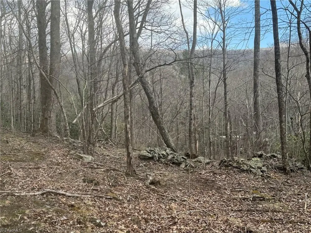 TBD-2 Three Top Road Todd, NC 28684