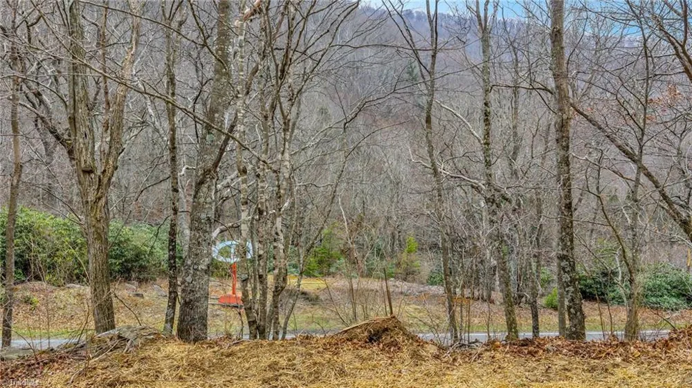 TBD-2 Three Top Road Todd, NC 28684