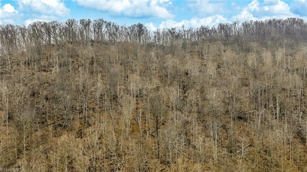 TBD-2 Three Top Road Todd, NC 28684