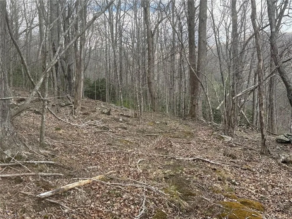 TBD-2 Three Top Road Todd, NC 28684