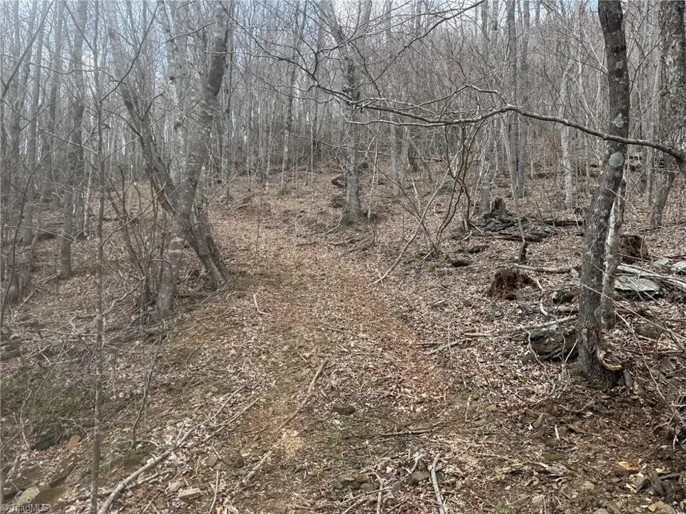 TBD-2 Three Top Road Todd, NC 28684