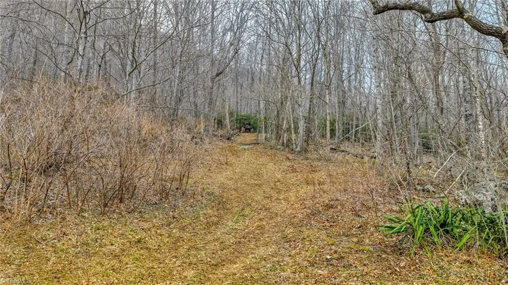 TBD-2 Three Top Road Todd, NC 28684