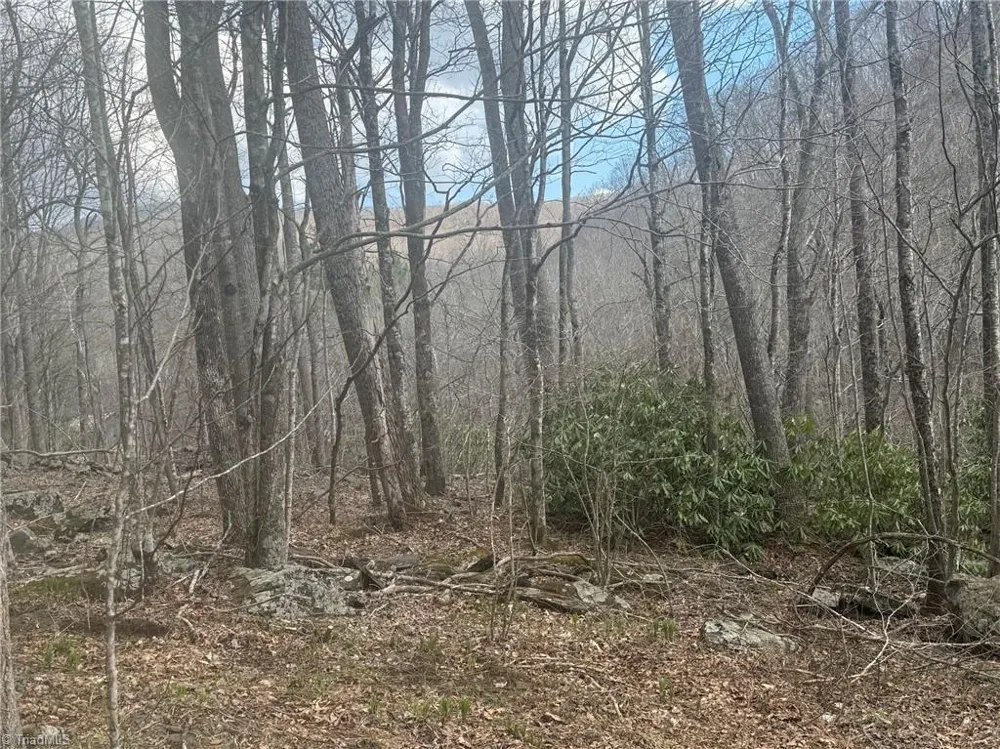 TBD-2 Three Top Road Todd, NC 28684