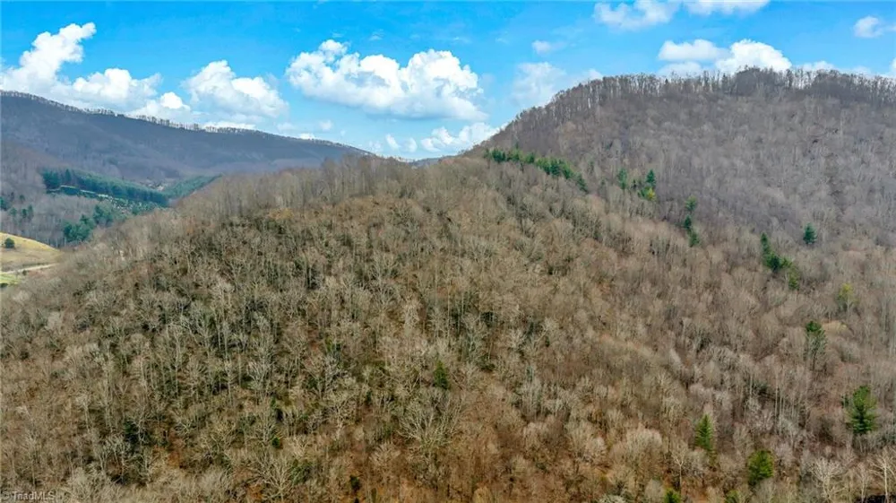 TBD-2 Three Top Road Todd, NC 28684