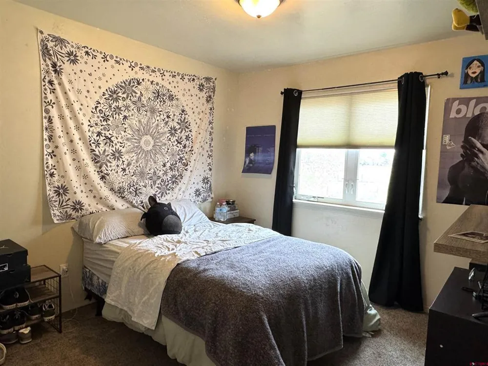 1181 E Montezuma Avenue ##1 Cortez, CO 81321