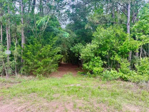 County Road 1375