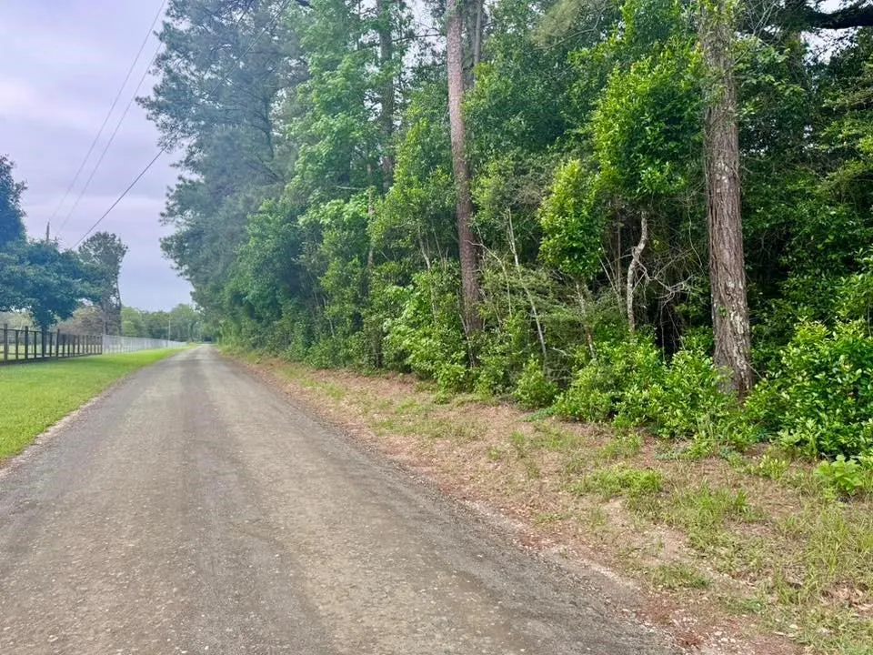 County Road 1375 Warren, TX 77664