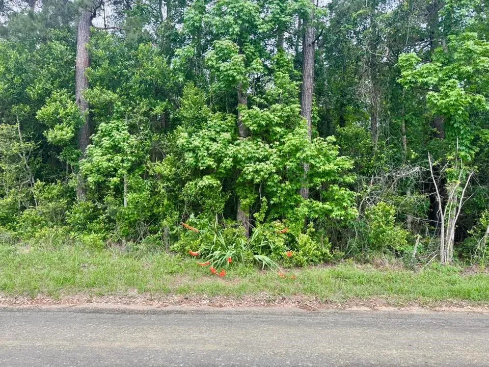 County Road 1375 Warren, TX 77664