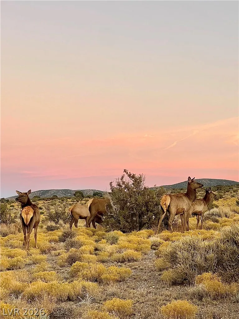 150 Wind Drift Place Cold Creek, NV 89124
