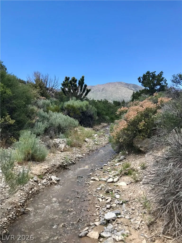 150 Wind Drift Place Cold Creek, NV 89124