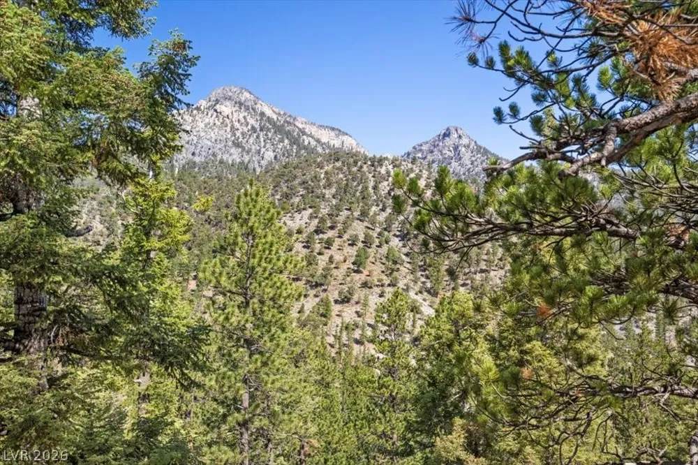 2169 Via Spes Nostra Street Mount Charleston, NV 89124