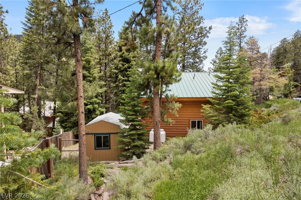 401 Alpine Way Mount Charleston, NV 89124