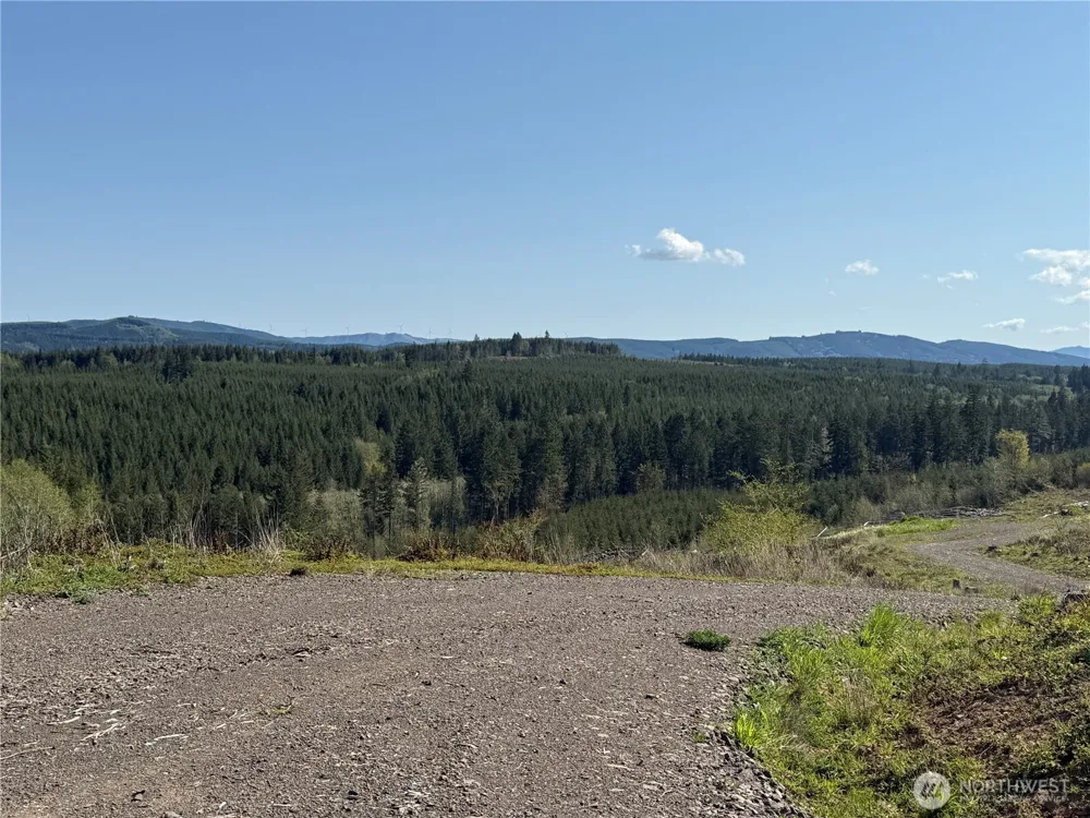 6 xx Oppelt Road Chehalis, WA 98532