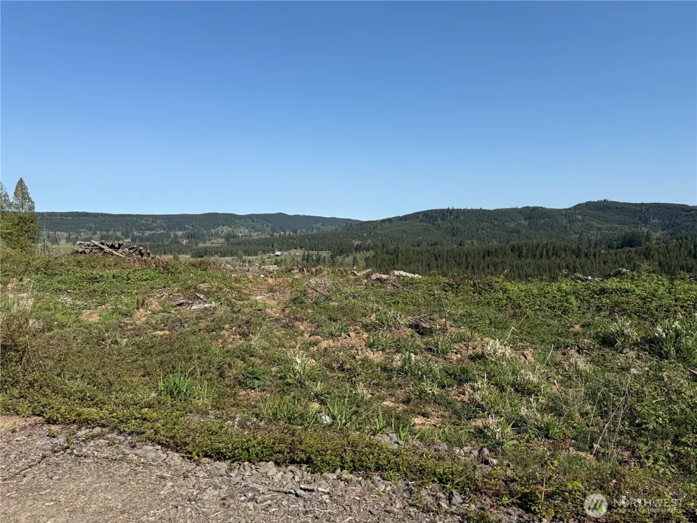 6 xx Oppelt Road Chehalis, WA 98532
