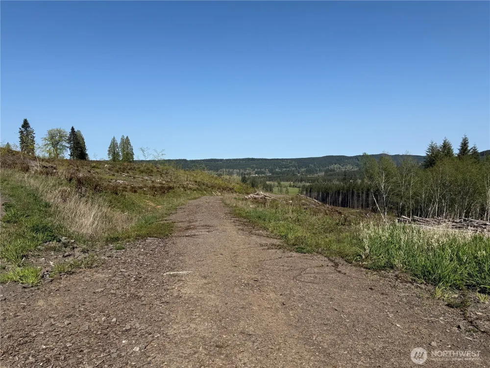 6 xx Oppelt Road Chehalis, WA 98532