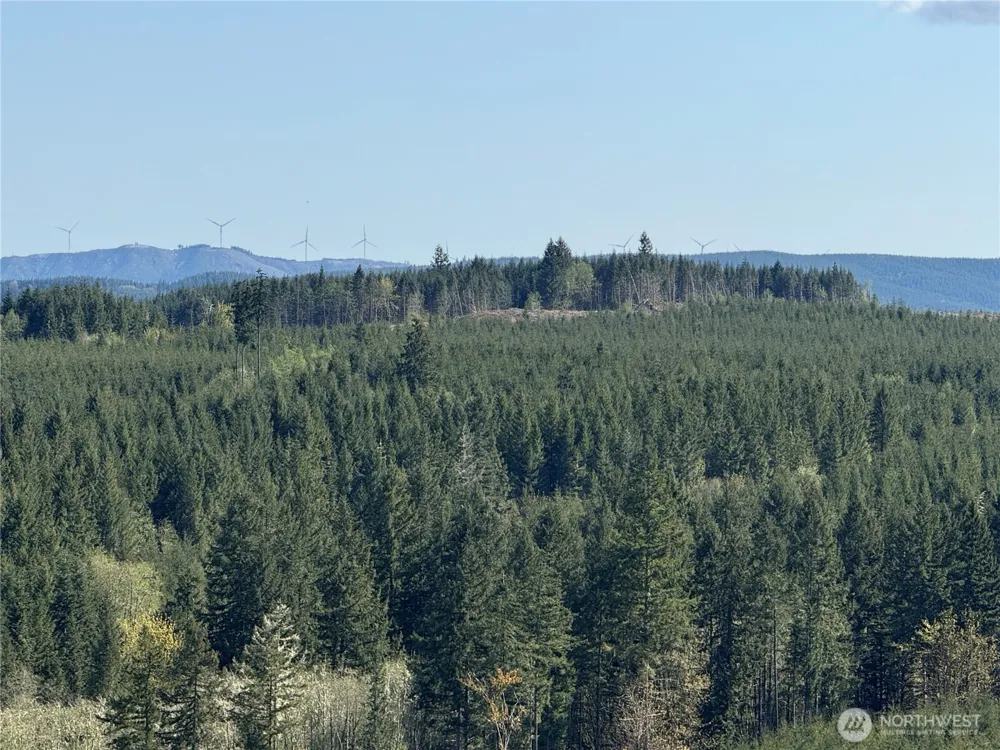 6 xx Oppelt Road Chehalis, WA 98532
