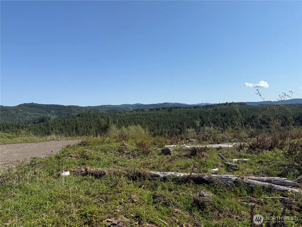 6 xx Oppelt Road Chehalis, WA 98532