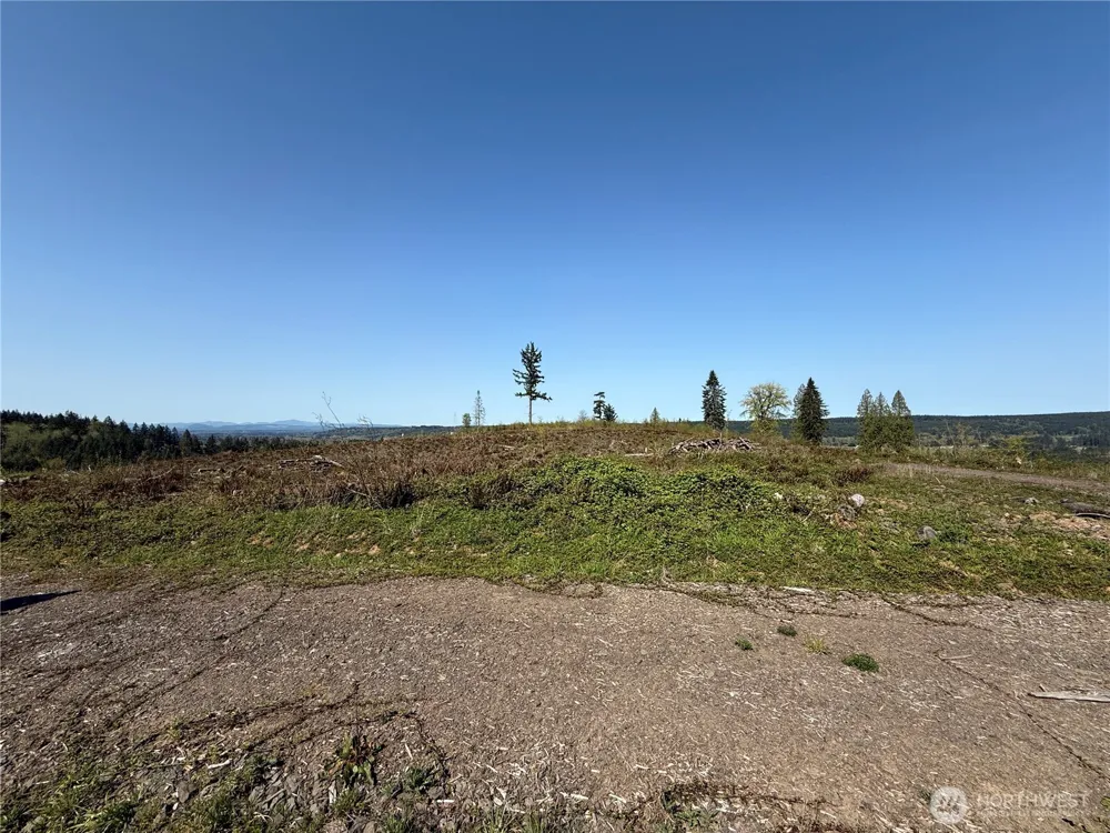 6 xx Oppelt Road Chehalis, WA 98532