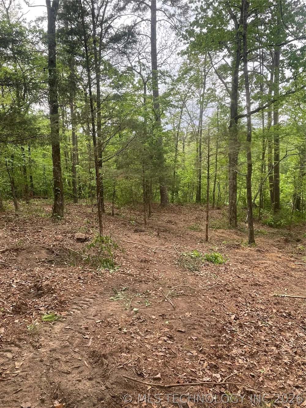 1 River Ridge Road Watson, OK 74963