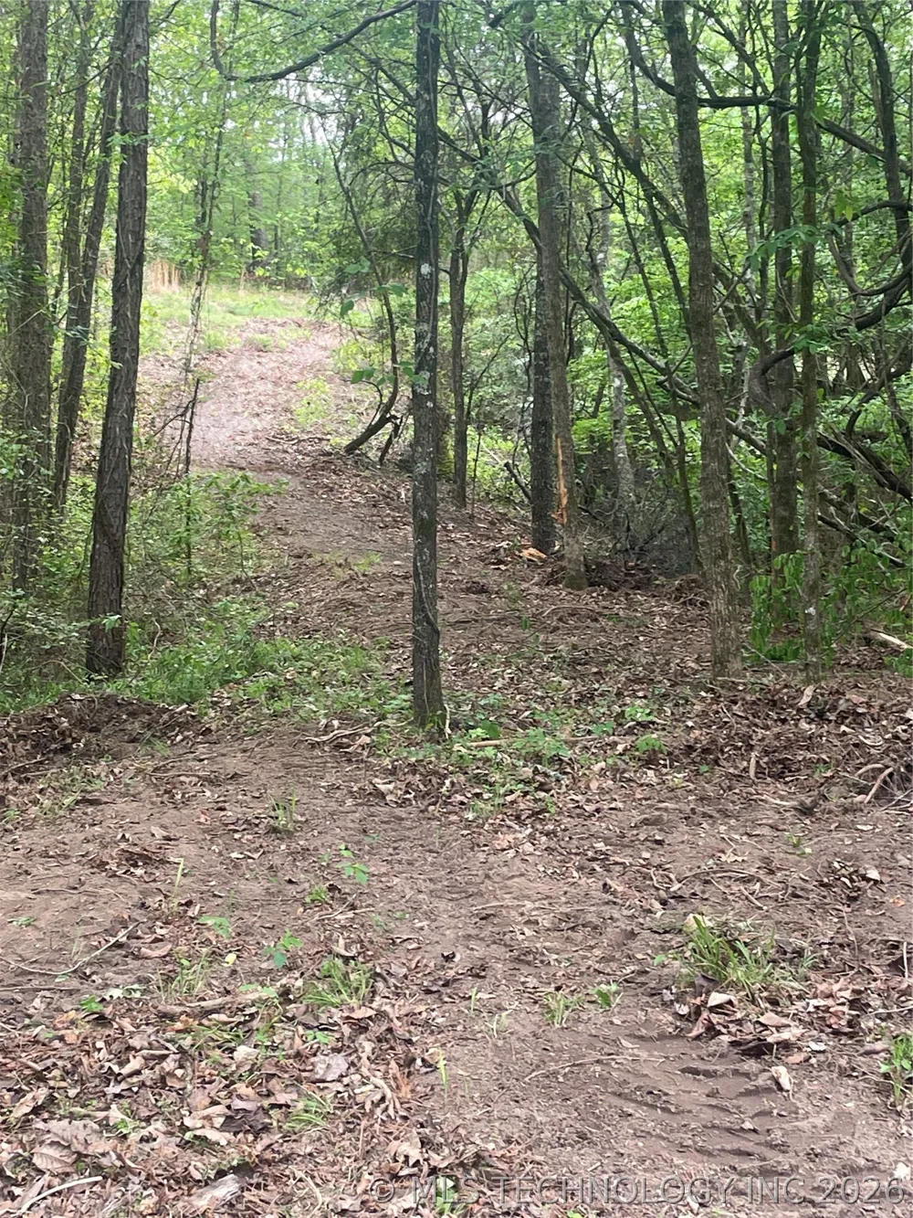 1 River Ridge Road Watson, OK 74963