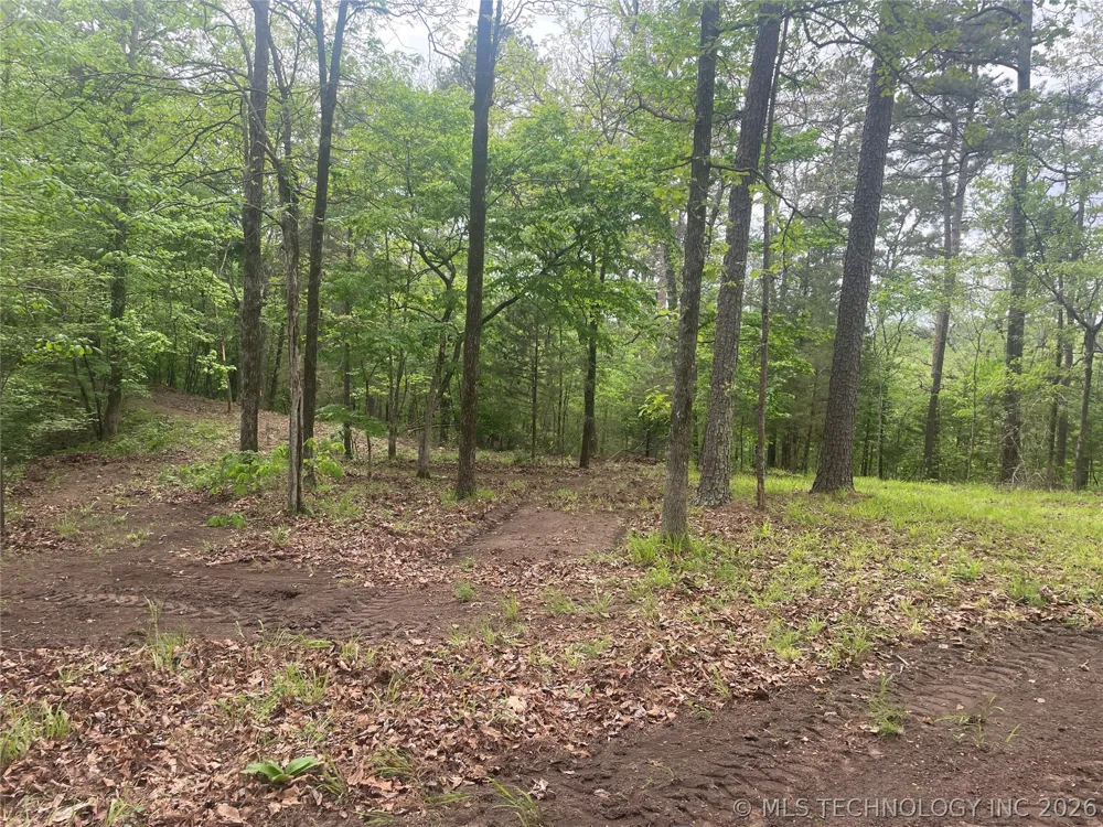 1 River Ridge Road Watson, OK 74963