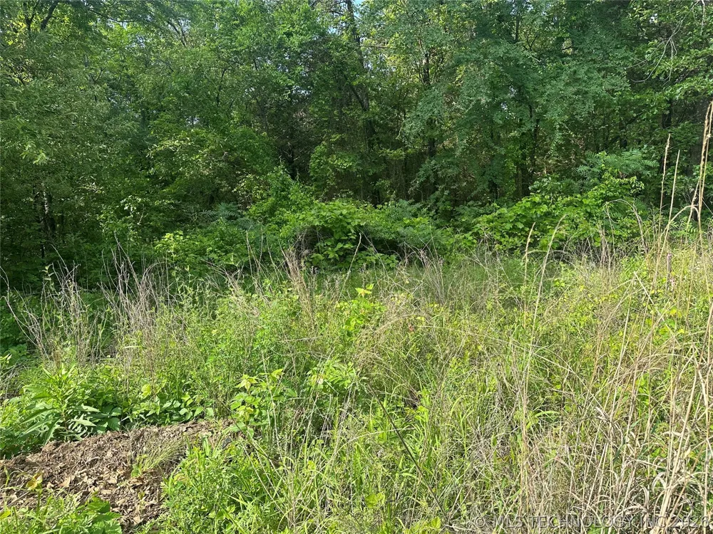 Cedar Mead, OK 73449