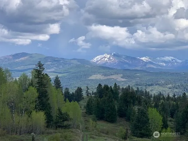 354 Vulcan Mountain Road Curlew, WA 99118