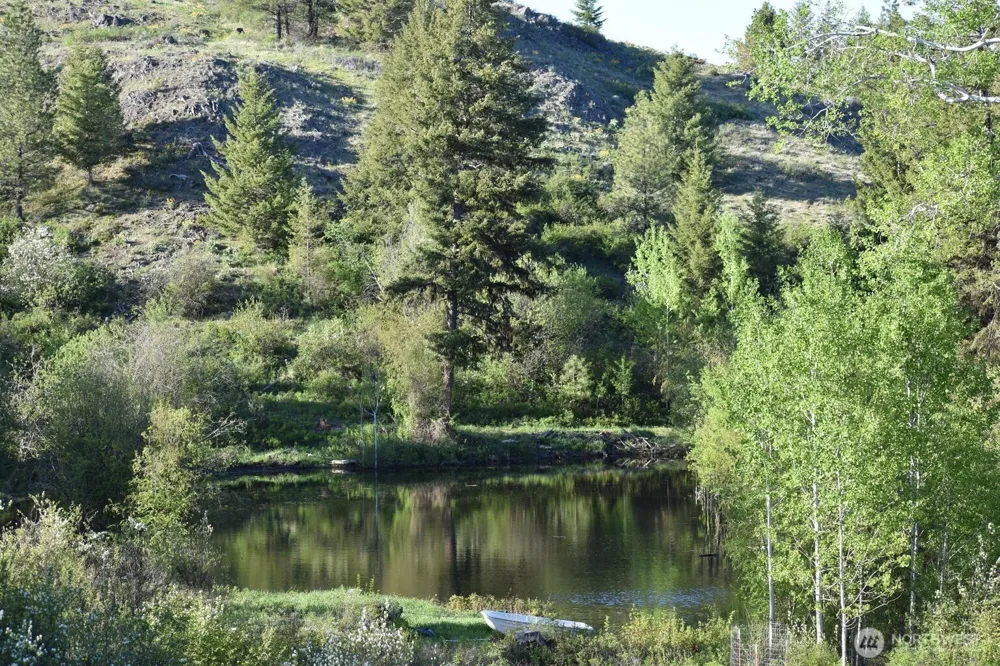 354 Vulcan Mountain Road Curlew, WA 99118
