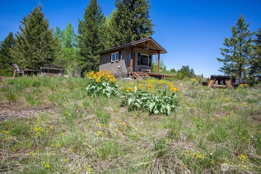 354 Vulcan Mountain Road Curlew, WA 99118