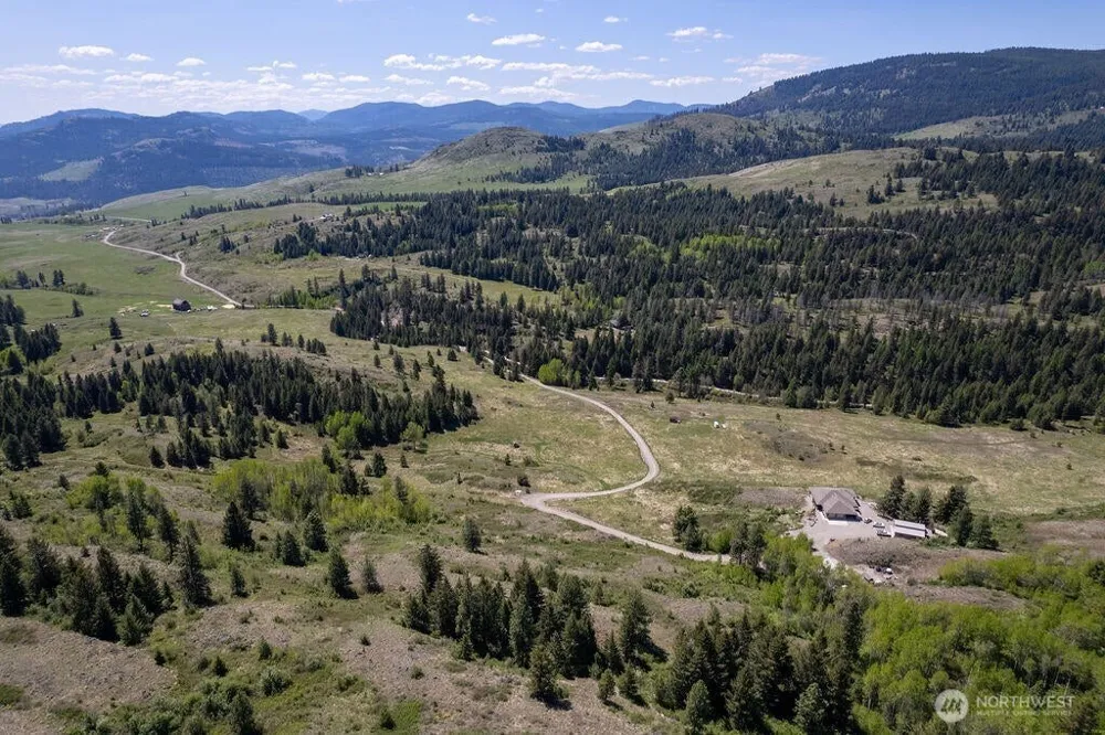 354 Vulcan Mountain Road Curlew, WA 99118