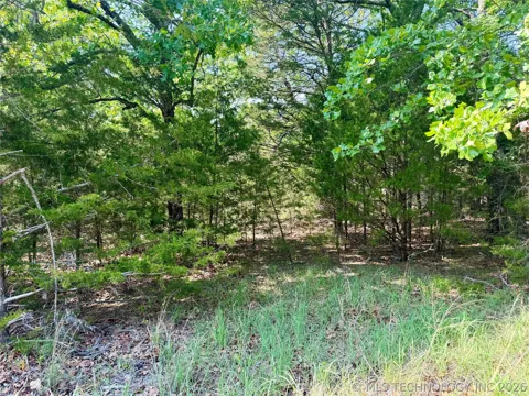 17 Council Tree Drive