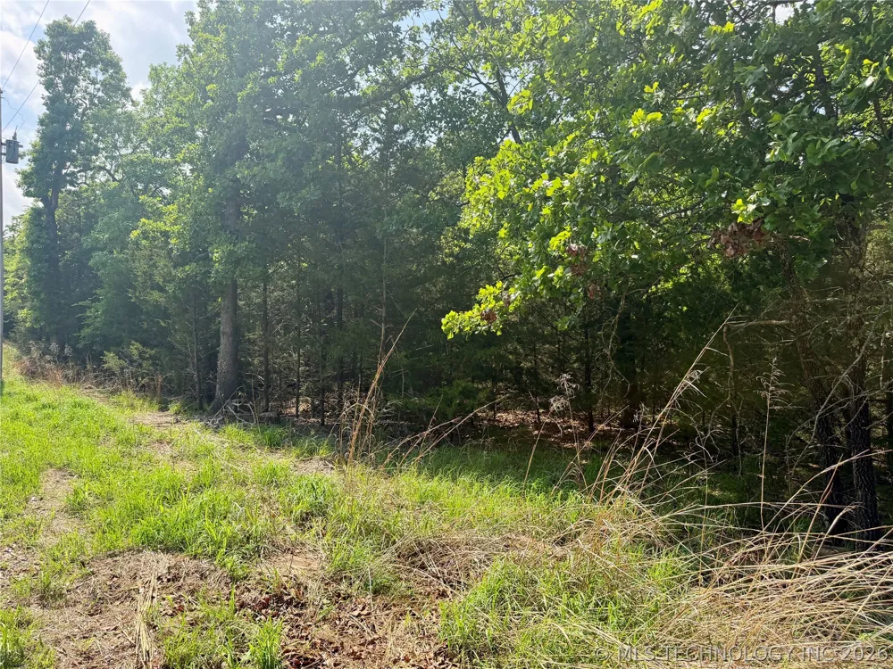 17 Council Tree Drive Canadian, OK 74425