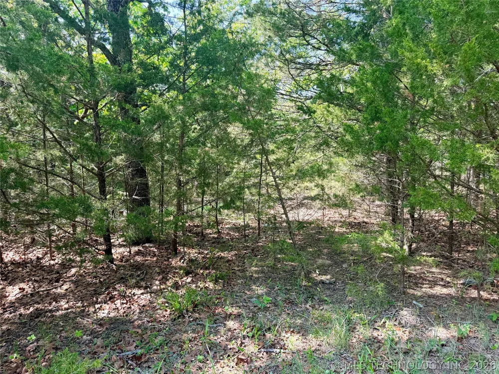 17 Council Tree Drive Canadian, OK 74425