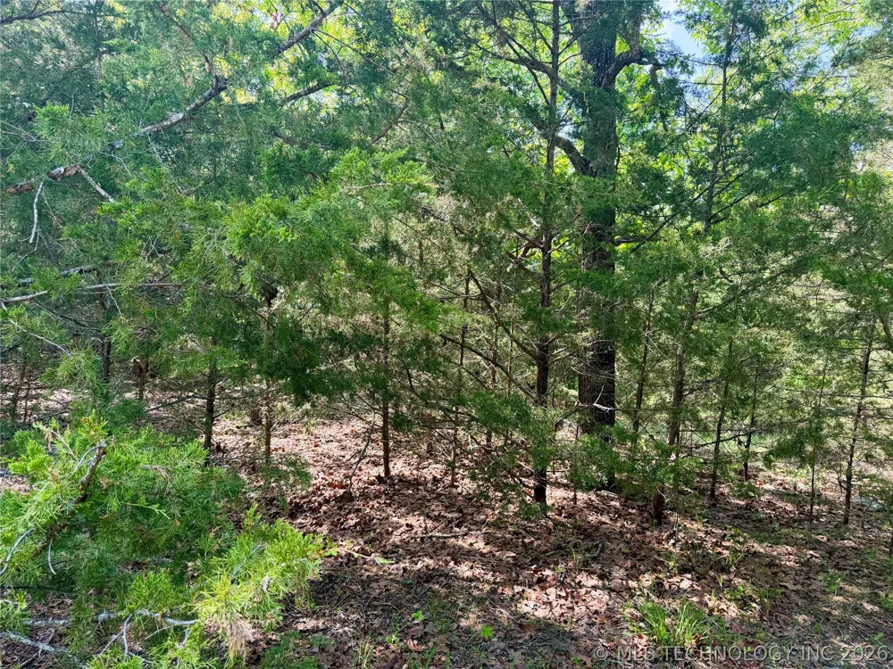 17 Council Tree Drive Canadian, OK 74425