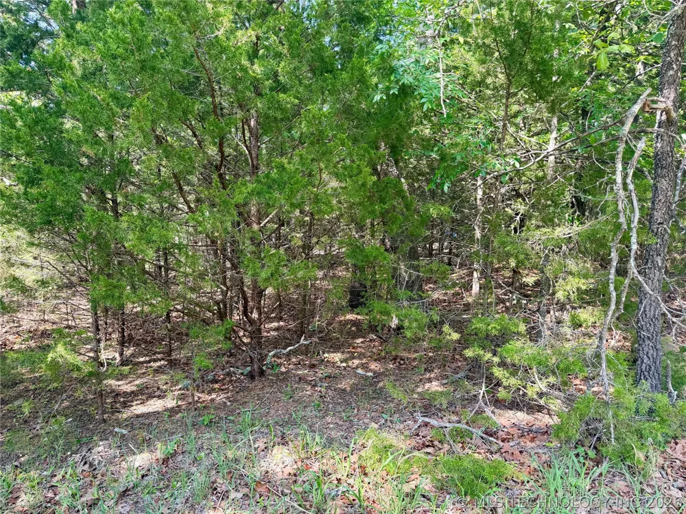 17 Council Tree Drive Canadian, OK 74425