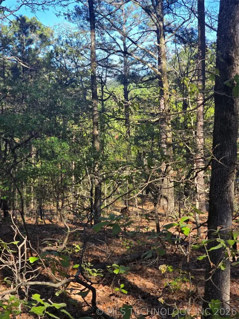 Wolf Trail