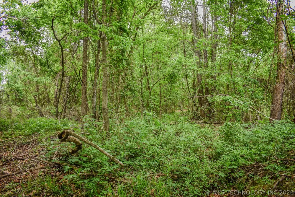 1 Fallon Road Hugo, OK 74743