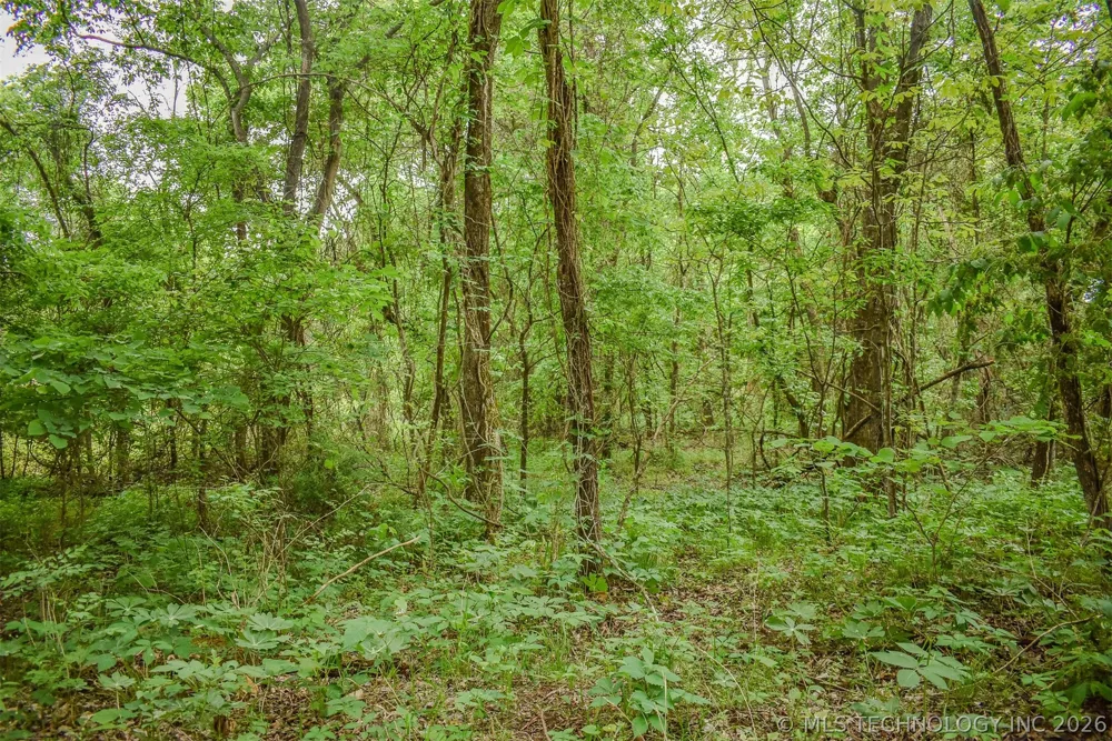 1 Fallon Road Hugo, OK 74743