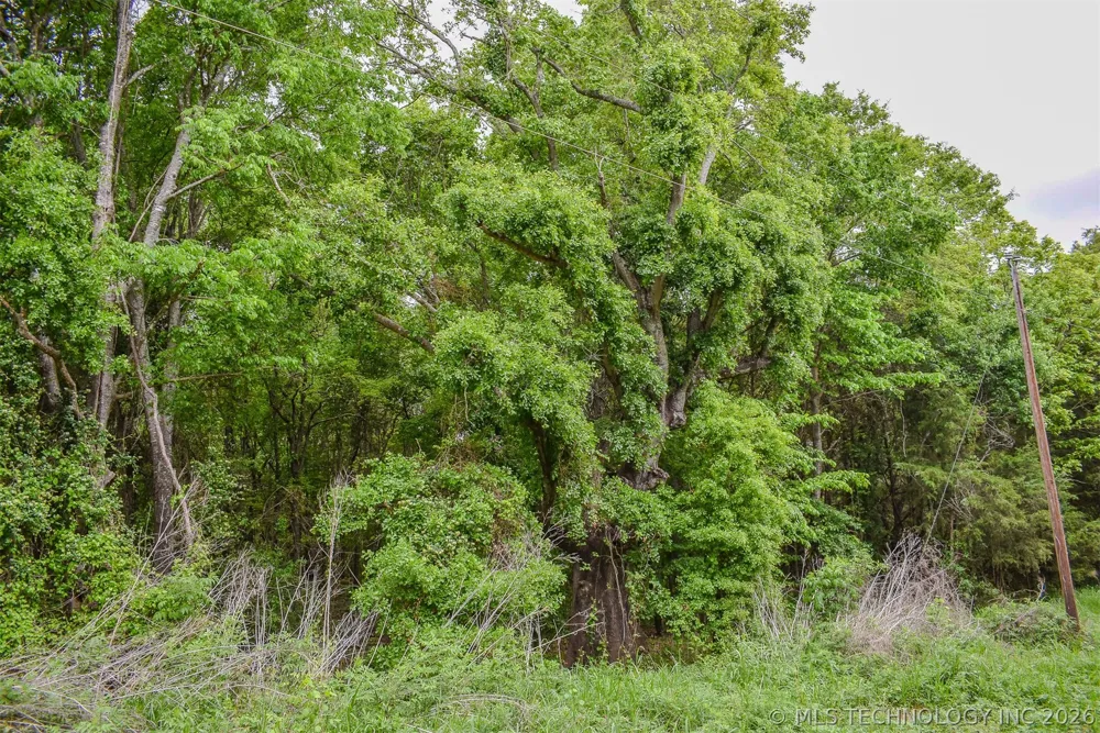 1 Fallon Road Hugo, OK 74743