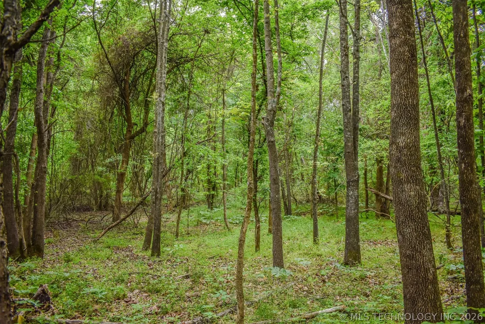 1 Fallon Road Hugo, OK 74743