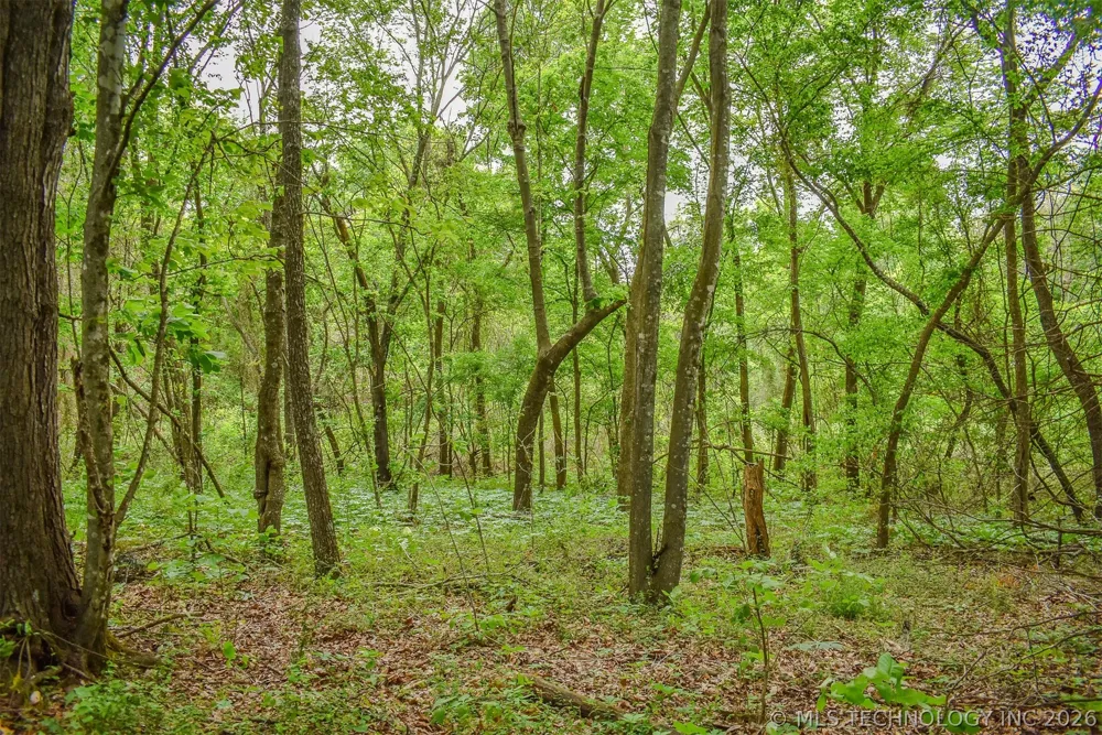 1 Fallon Road Hugo, OK 74743