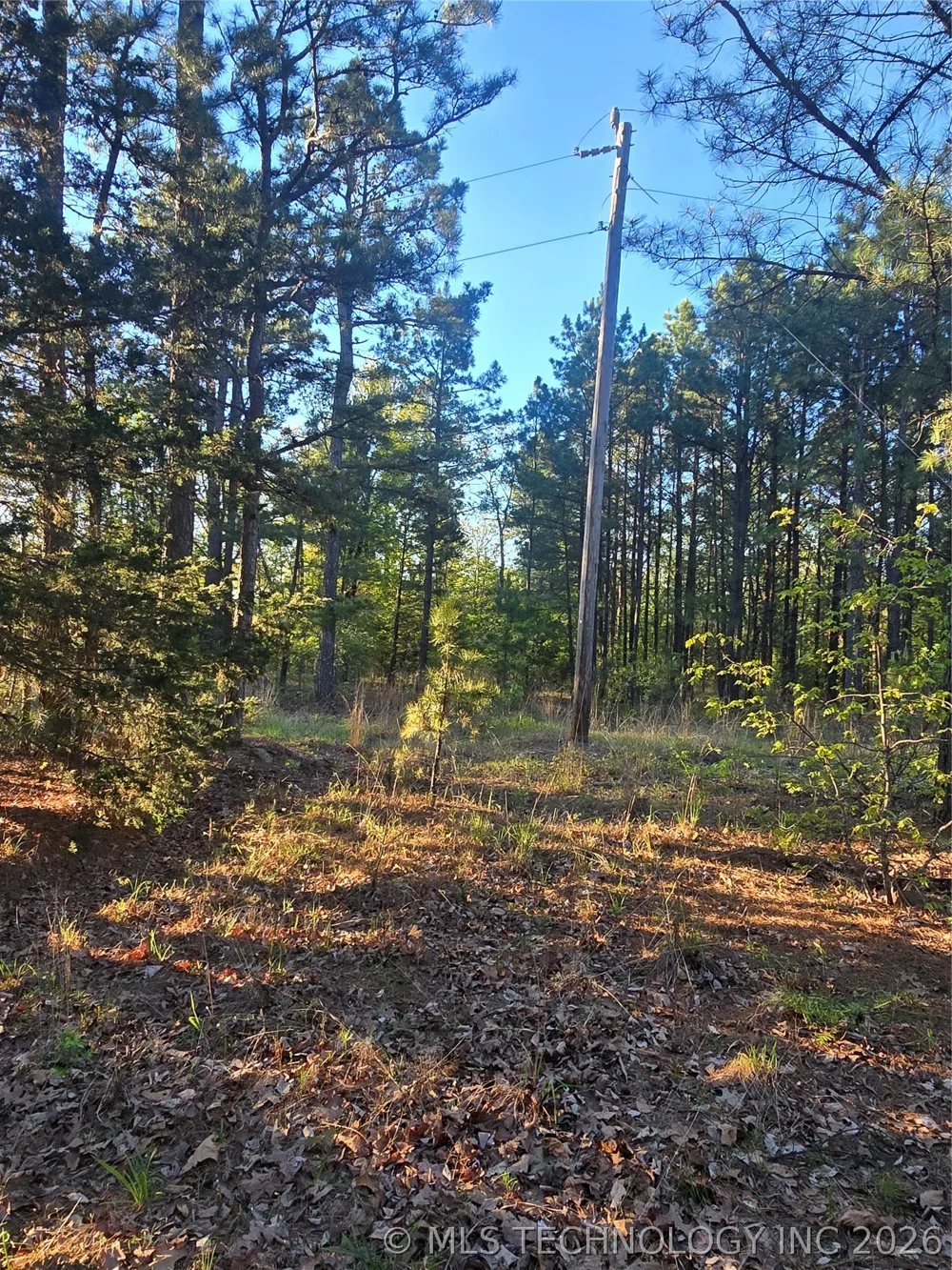 77 NE Little Flat Top Moyers, OK 74523