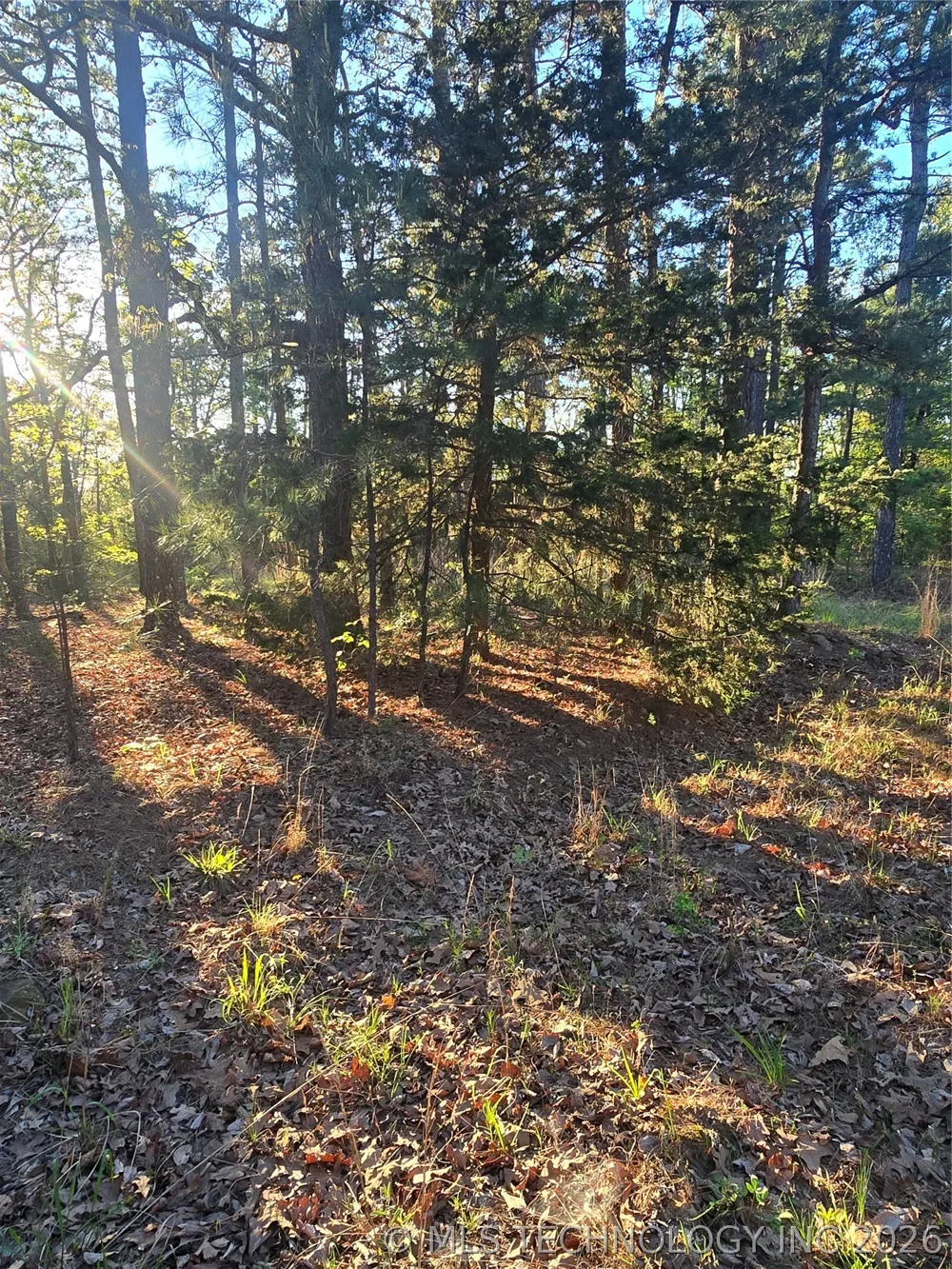 77 NE Little Flat Top Moyers, OK 74523