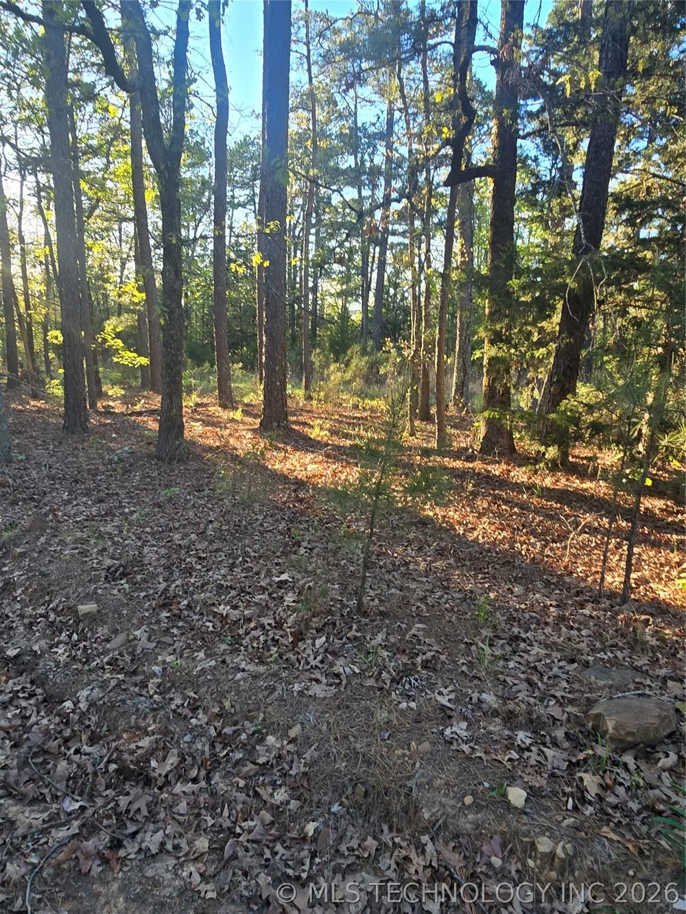 77 NE Little Flat Top Moyers, OK 74523