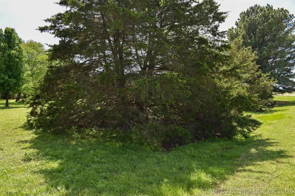10164 Bloomfield North Gentry, AR 72734