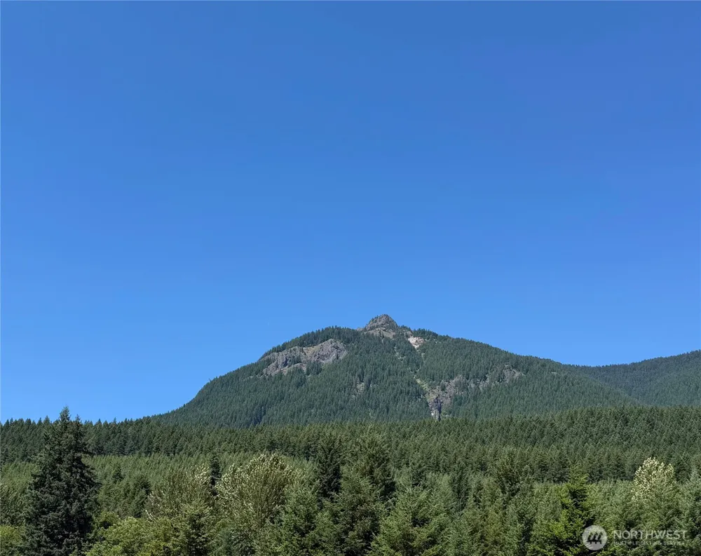 216 Eagle Peak Drive Packwood, WA 98361