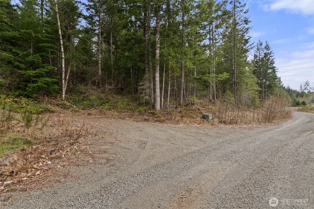 134 Grizzly Road Packwood, WA 98361