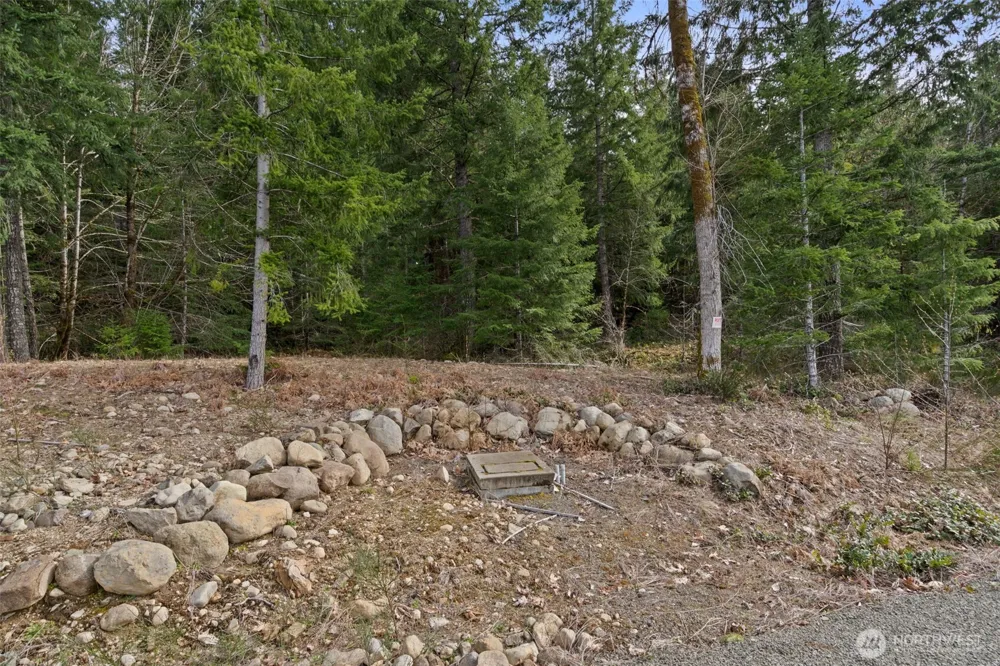 134 Grizzly Road Packwood, WA 98361